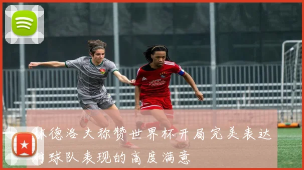 林德洛夫称赞世界杯开局完美表达对球队表现的高度满意