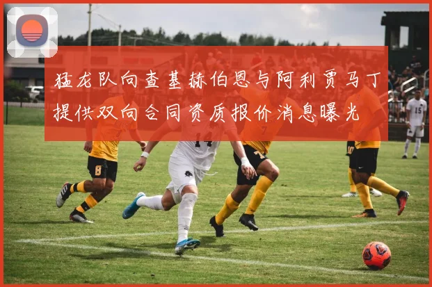 猛龙队向查基赫伯恩与阿利贾马丁提供双向合同资质报价消息曝光